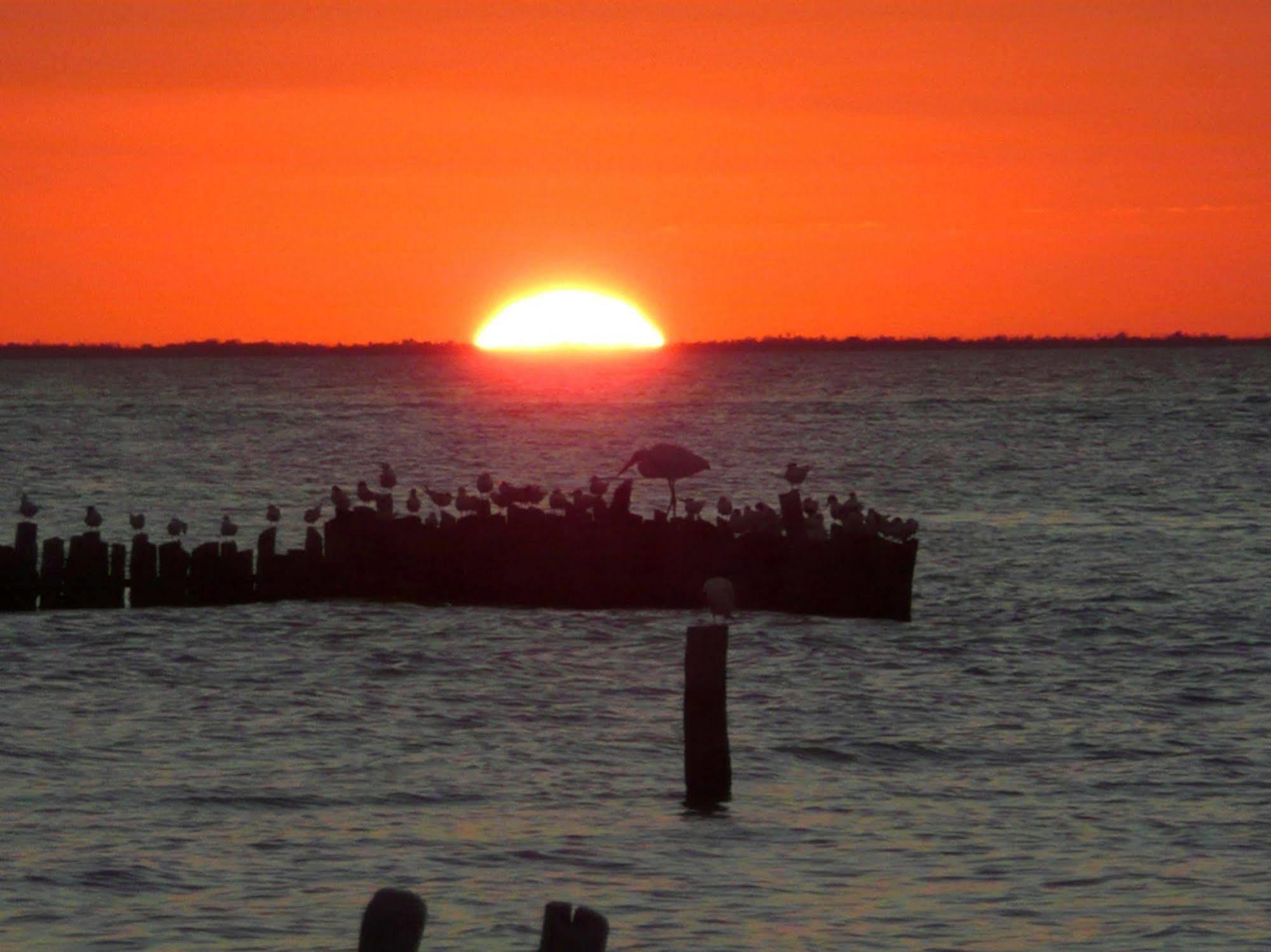 Golden Paradise Beach Isla Holbox ภายนอก รูปภาพ